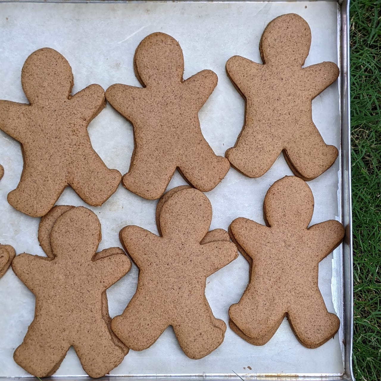 Gingerbread Cookies